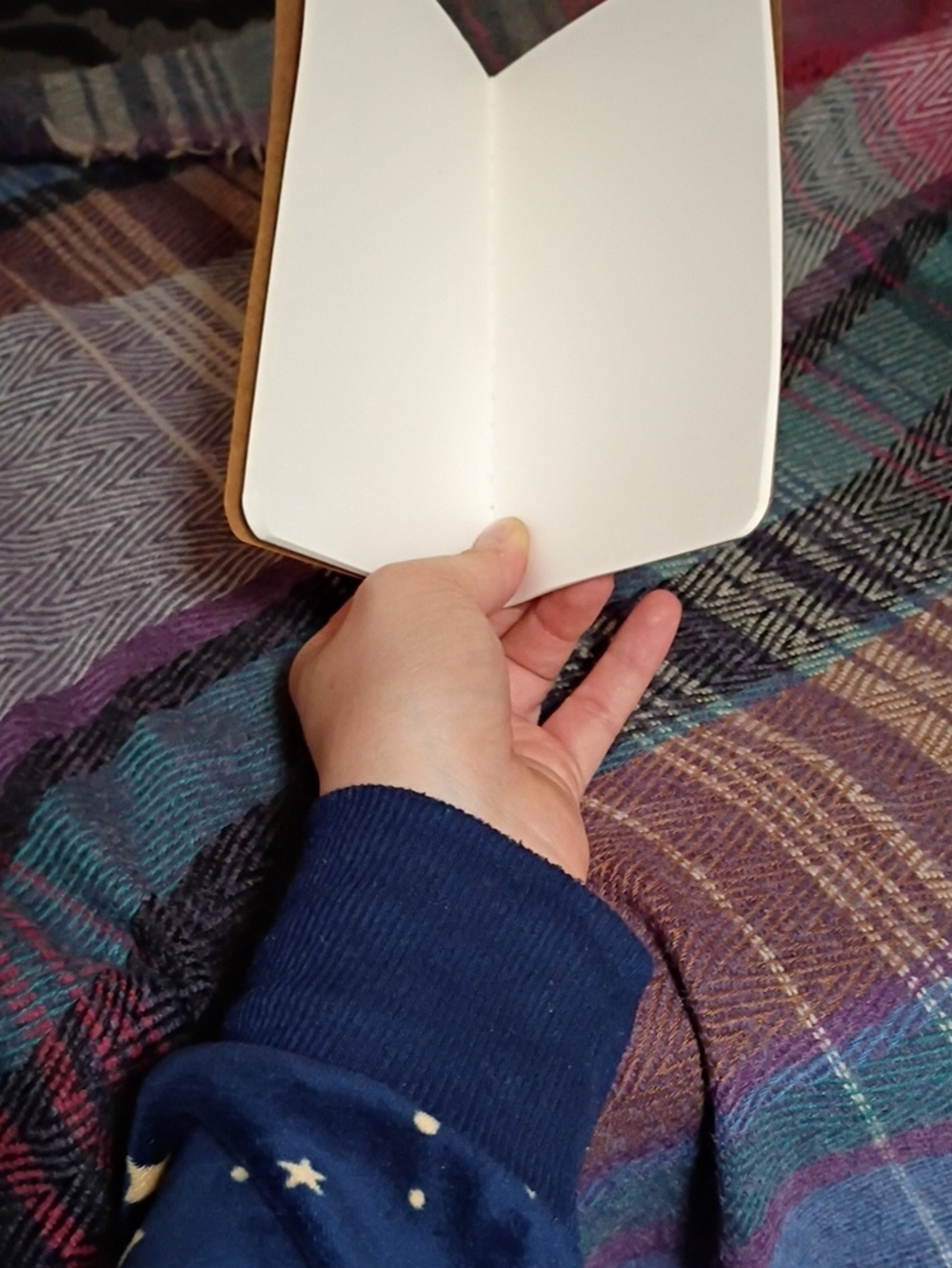 Free Brown Kraft Pocket Notebook